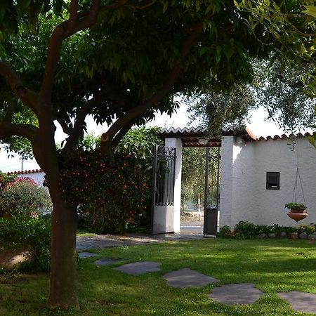 Azienda Agrituristica Villa Arianna Imperia Eksteriør billede