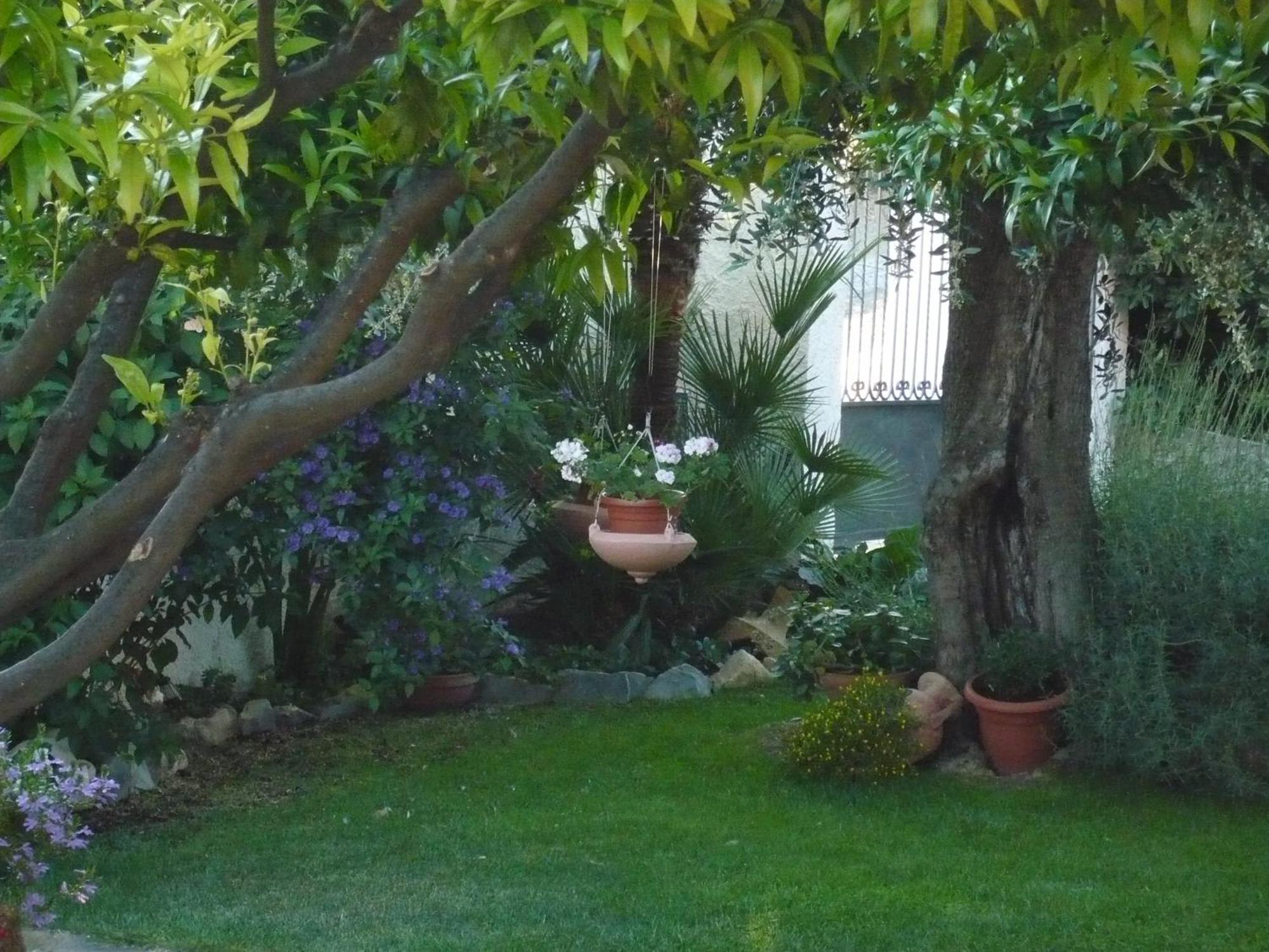 Azienda Agrituristica Villa Arianna Imperia Eksteriør billede