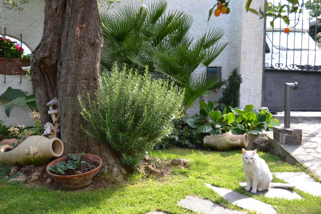 Azienda Agrituristica Villa Arianna Imperia Eksteriør billede